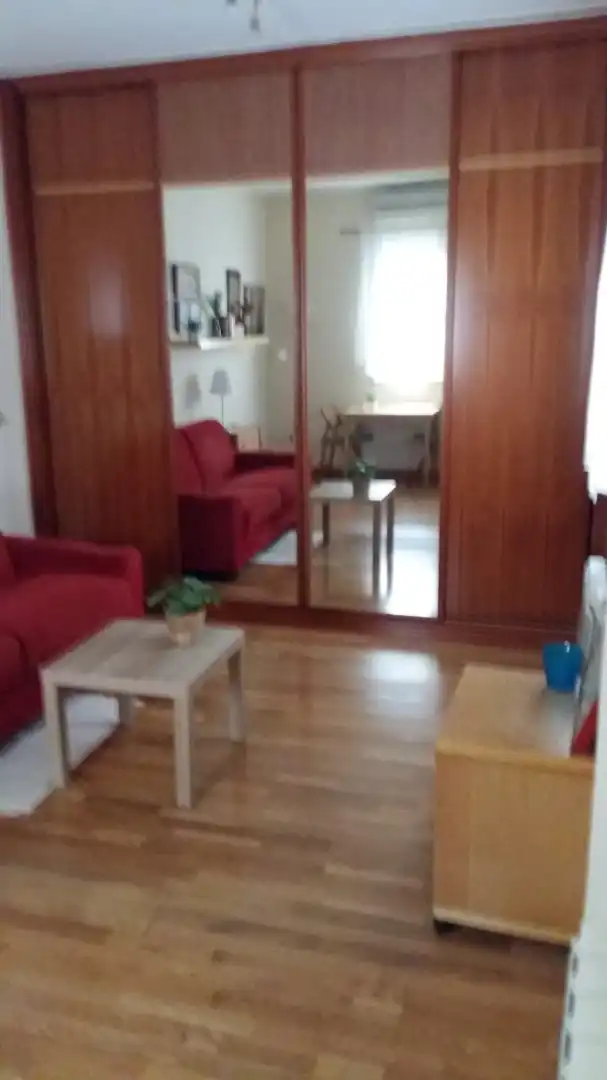 Sala de estar de Estudio de alquiler en Madrid con Aire acondicionado, Calefacción y Parquet