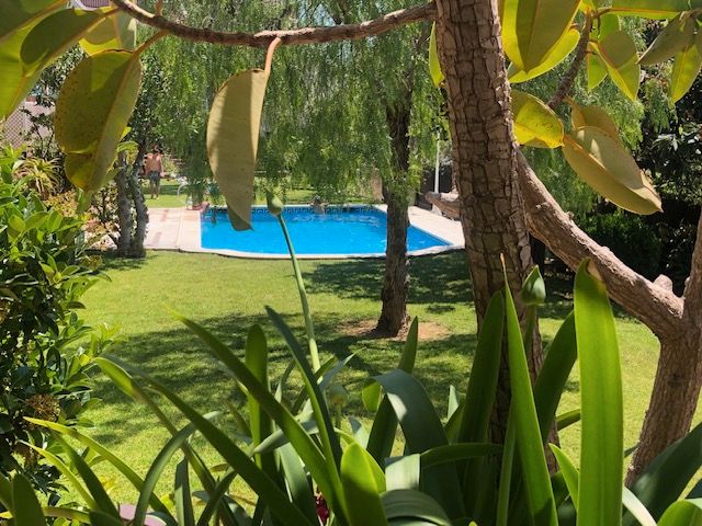 Swimming pool of Single-family semi-detached for sale in Altafulla  with Private garden, Terrace and Storage room