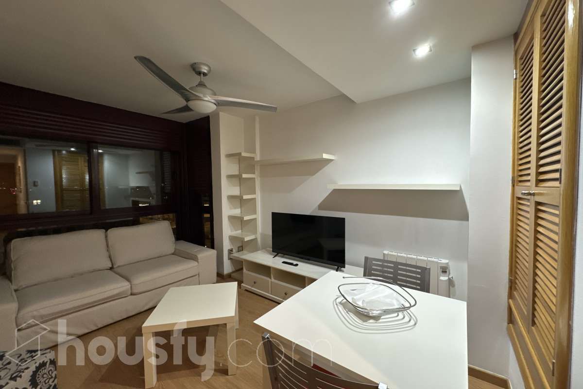 Living room of Flat to rent in  Madrid Capital  with Heating, Storage room and Furnished