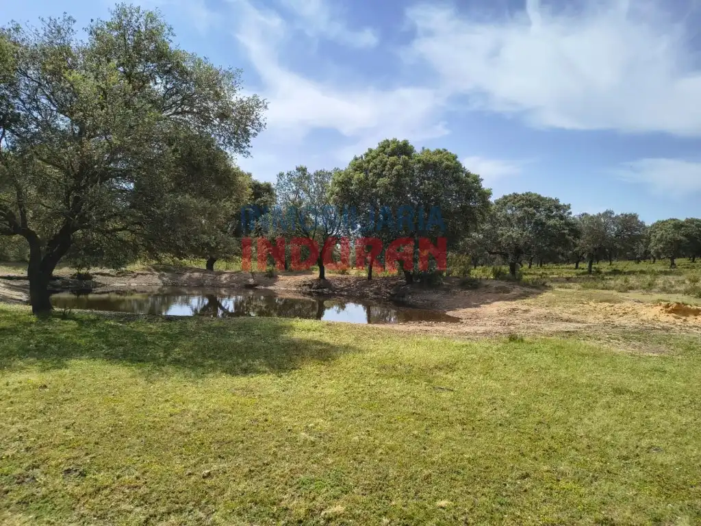 Finca rústica en venda en Talaván