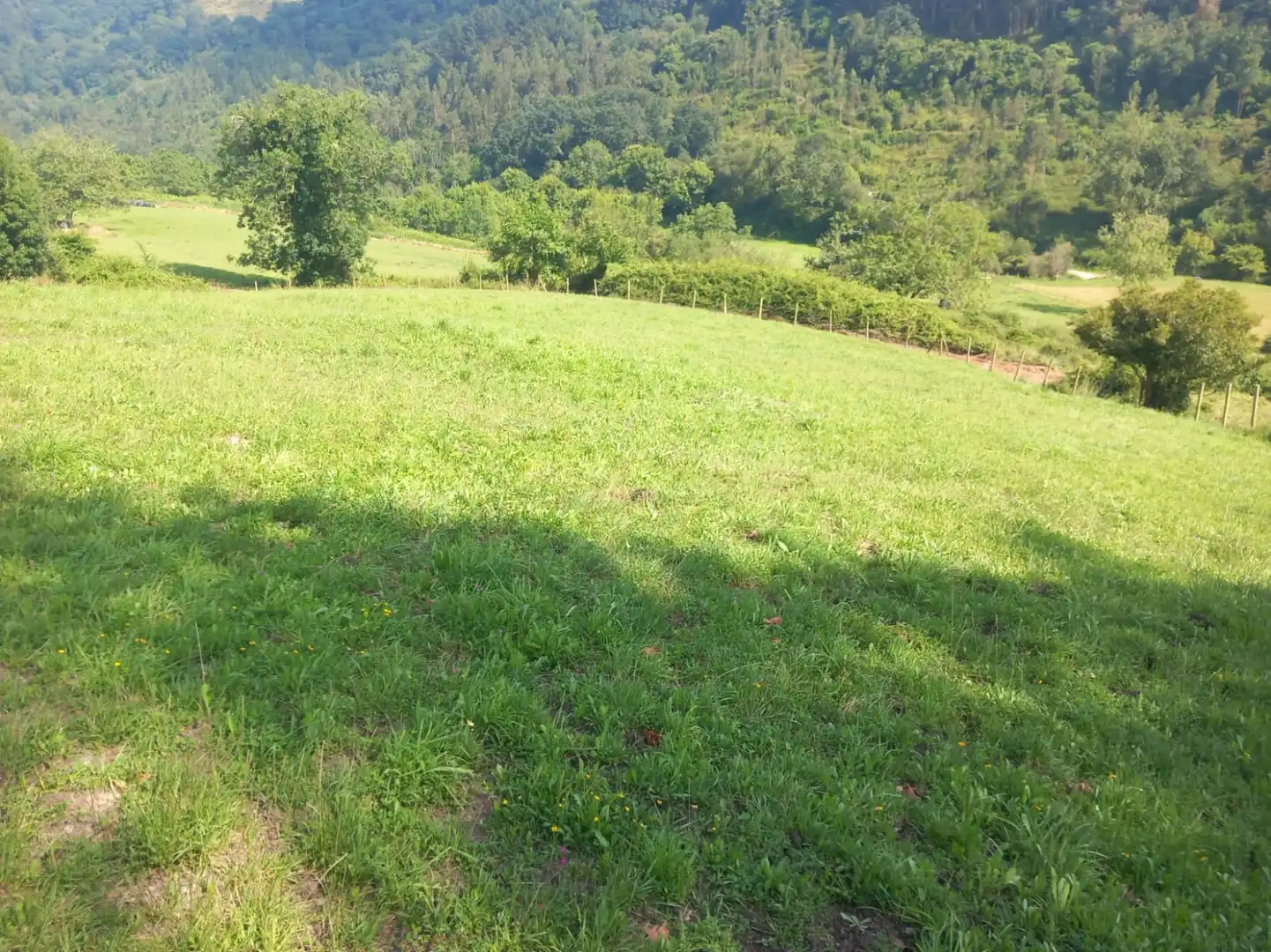 Terreni e lotti in vendita a Labarces - La Cardosa 21, imagen 13