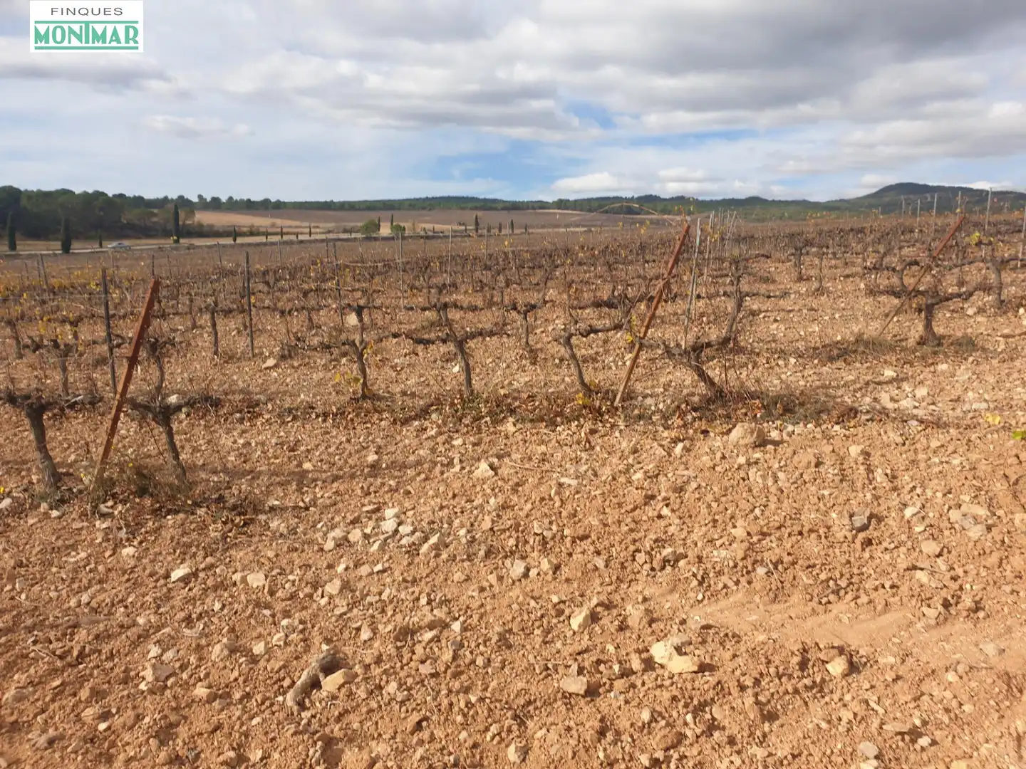 Finca rústica en venda en Vilafranca del Penedès
