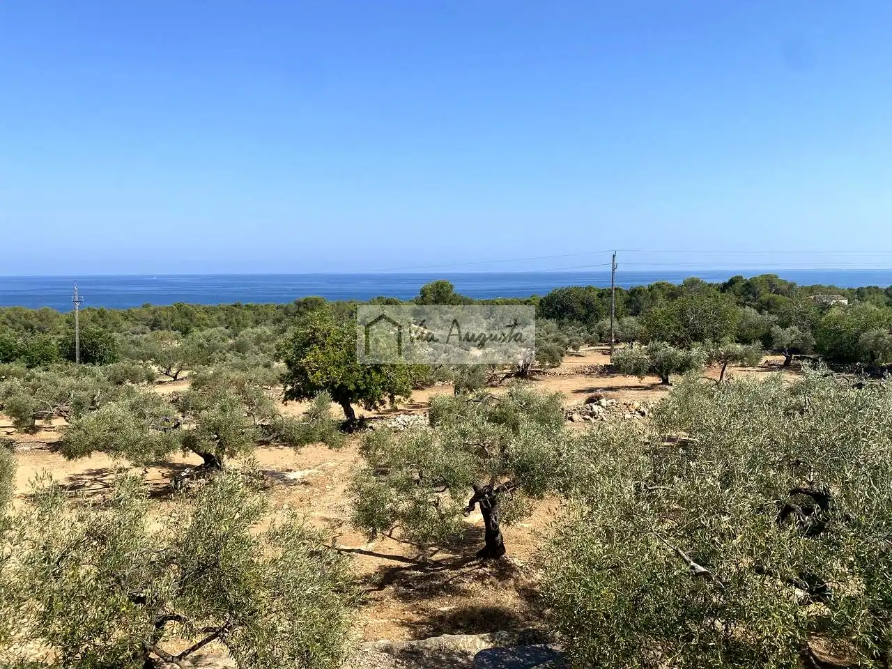 Finca rústica en venda a Carratillana, L'Ametlla de Mar pueblo