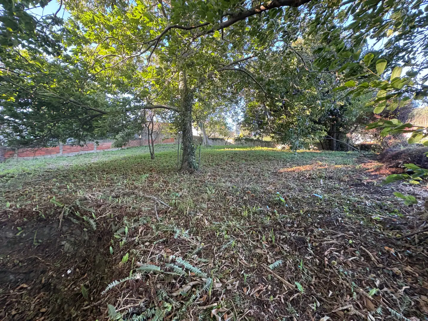 Casa o chalet en venta en Neda con Jardín privado