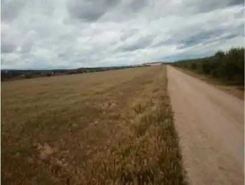 Rural land for sale in Calahorra, imagen 2