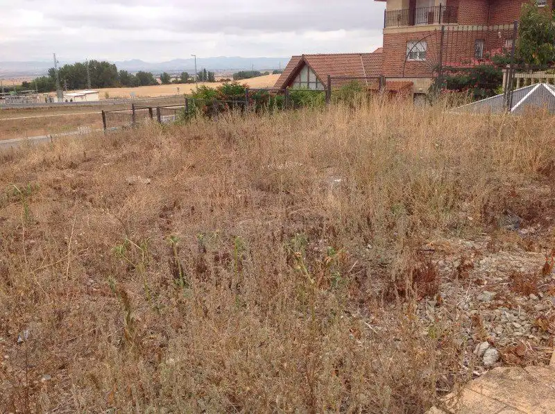 Residential land for sale in Cirueña, imagen 8