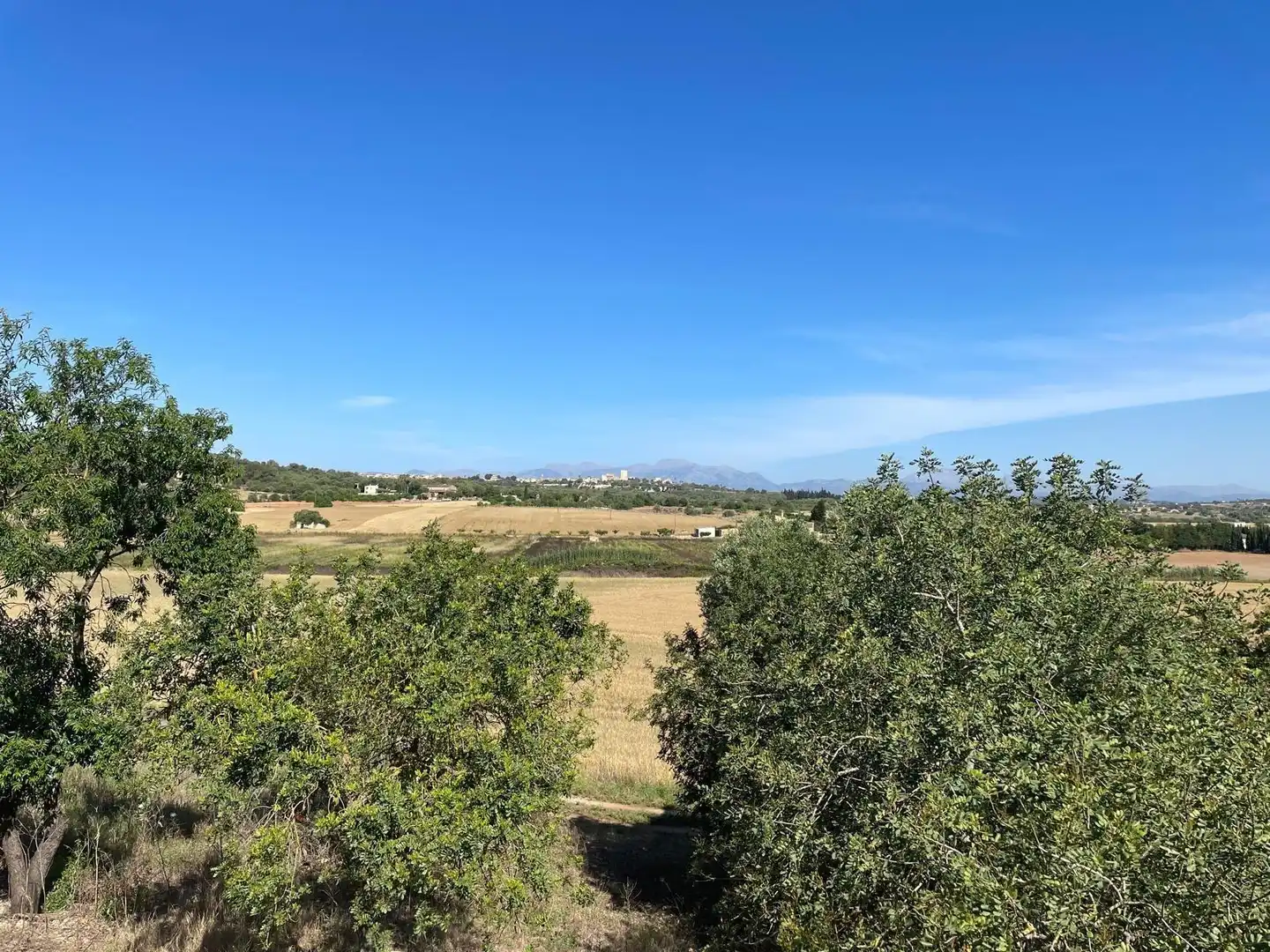 Finca rústica en venta en Ariany con Jardín privado