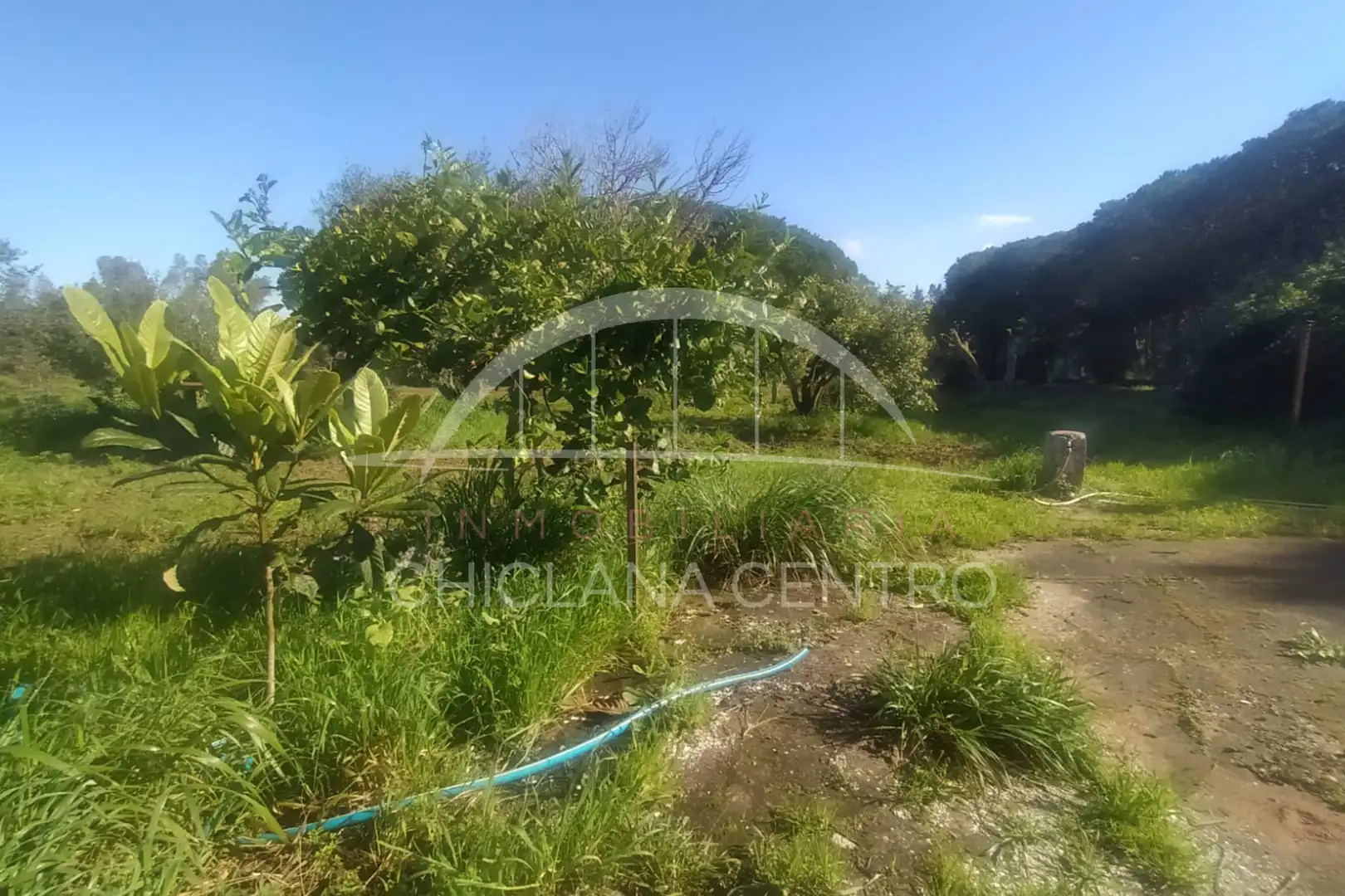 Casa rústica amb jardí en venda a Pelagatos - Pago del Humo, imagen 16