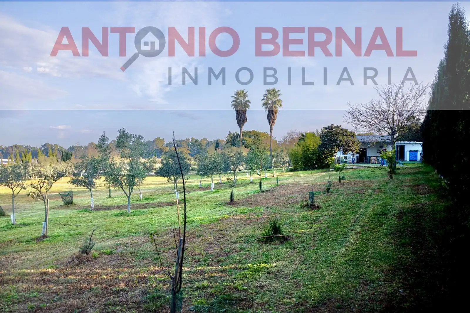 Finca rústica en venta en Jerez de la Frontera con Jardín privado