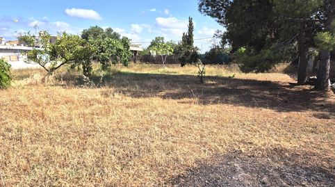 Foto 5 de Casa o xalet en venda a Urbanizaciones, Llíria