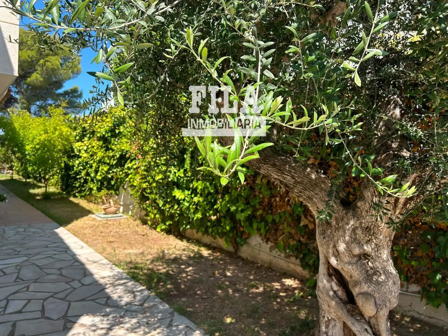 Maison à vendre à Terral de Dalt, imagen 8