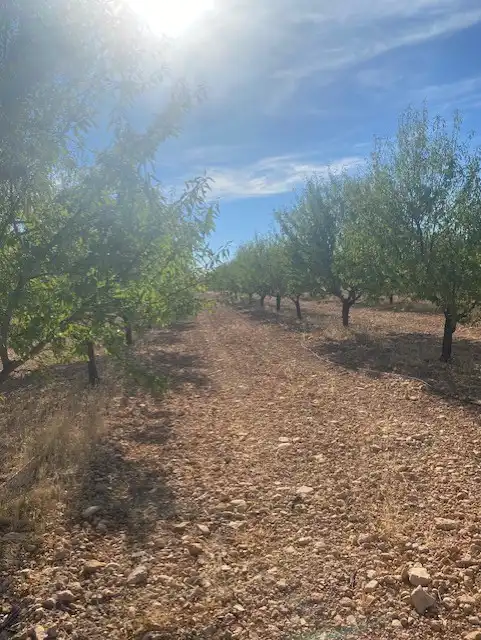 Terreno rustico in vendita a Calle García Pavón, imagen 16