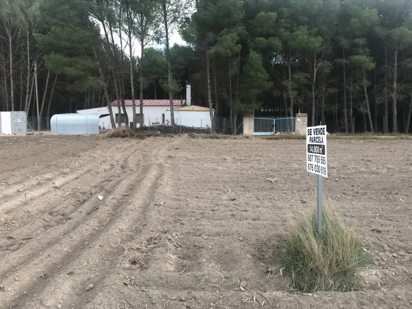Grundstücke zum Verkauf in Villena