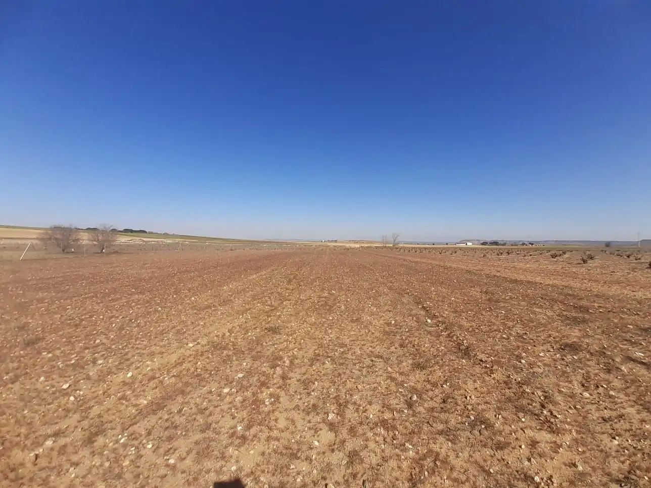 Terreno en venta en Moraleja del Vino