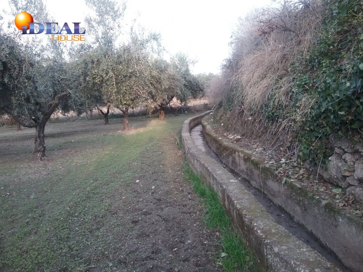 Country house for sale in La Zubia Ciudad