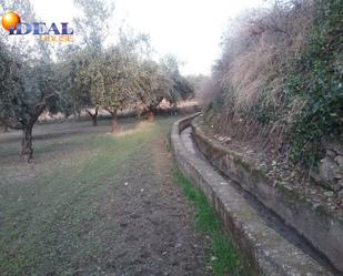 Country house for sale in La Zubia Ciudad