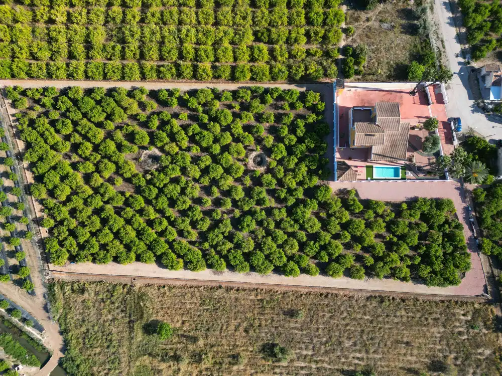 Casa o xalet en venda en Orihuela