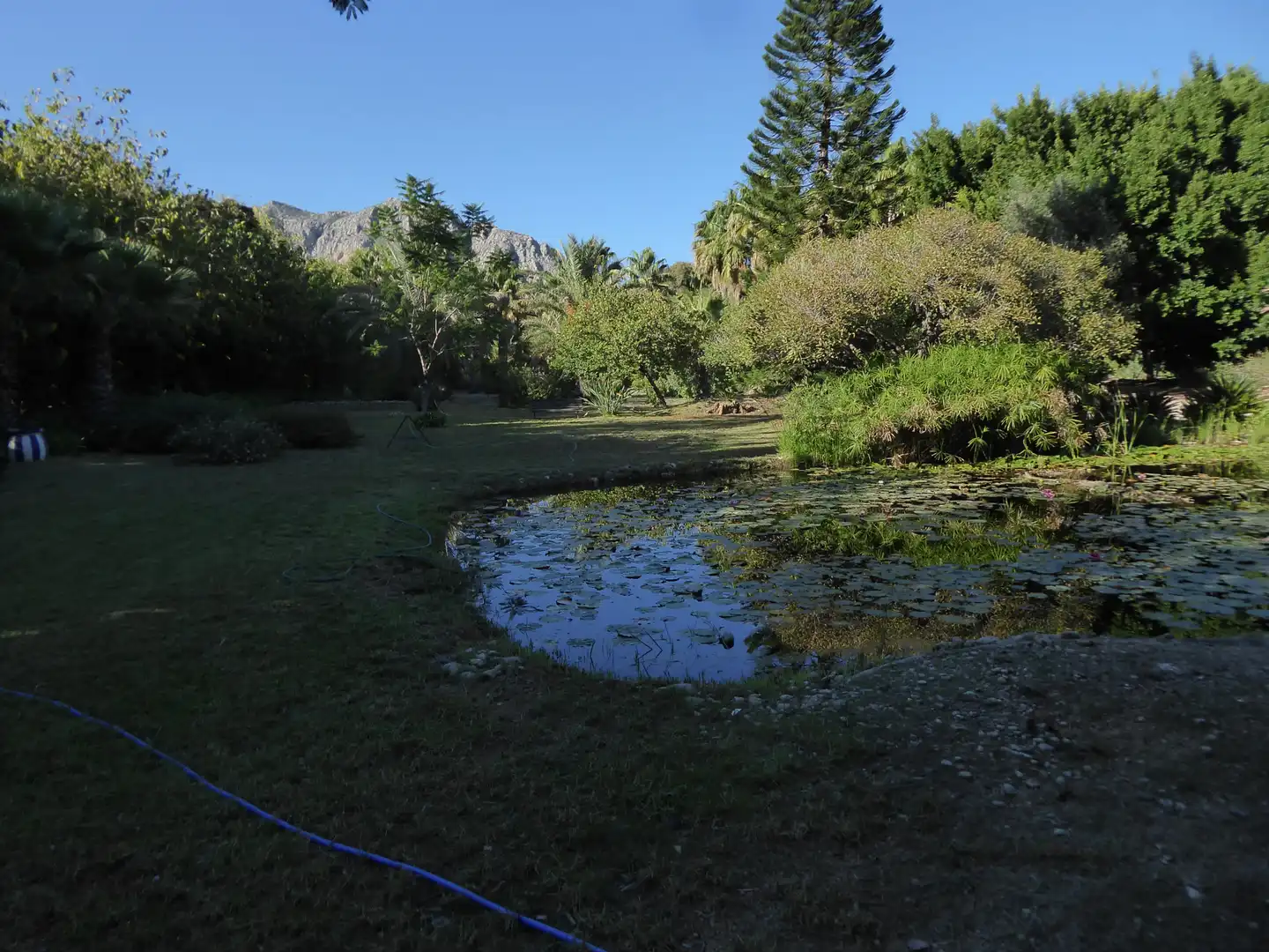 Jardí de Casa o xalet en venda en Beniarbeig