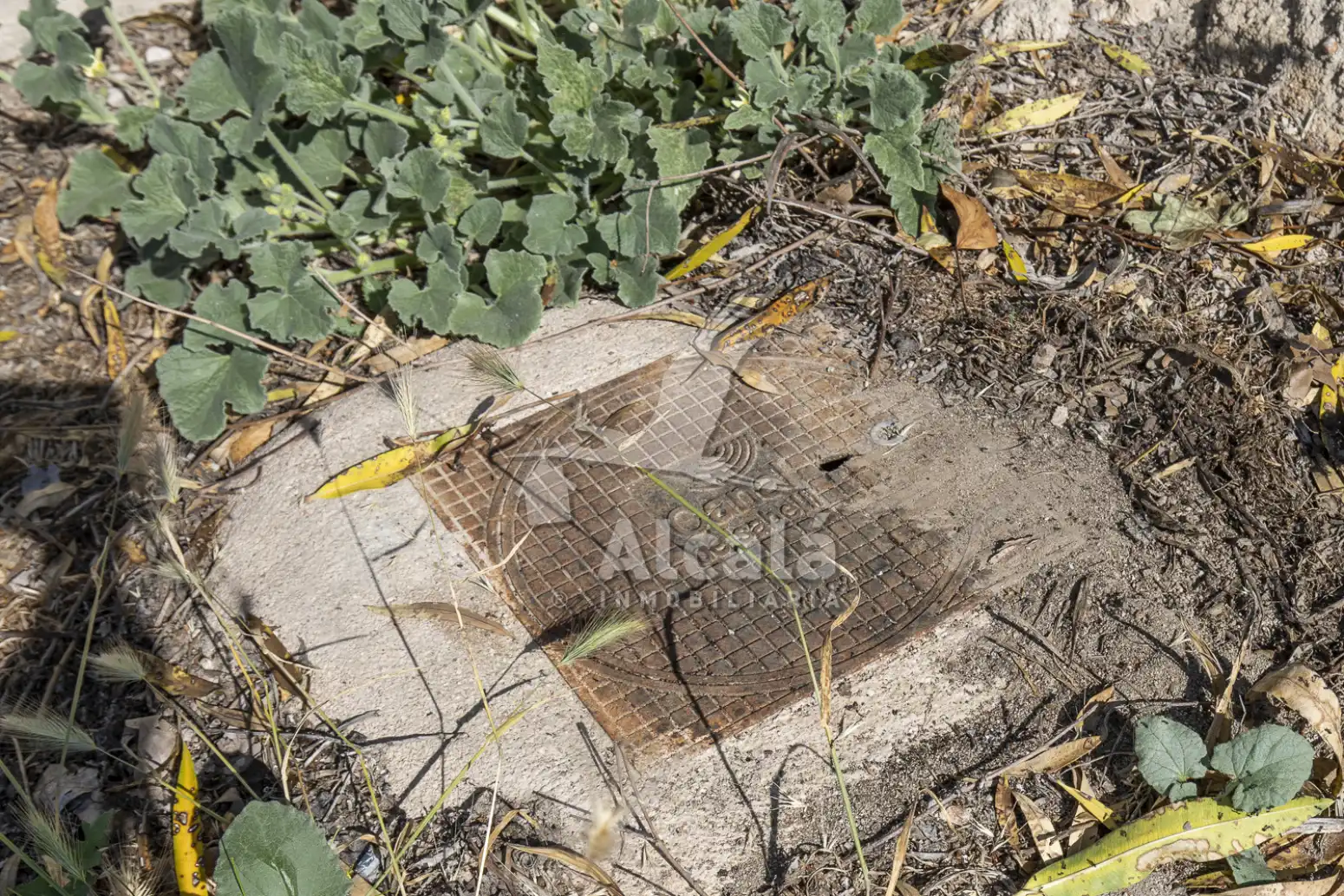 Terreno en venta en Valverde de Alcalá