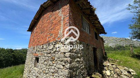 FINCA RUSTICA DE 14900m, immagine 5