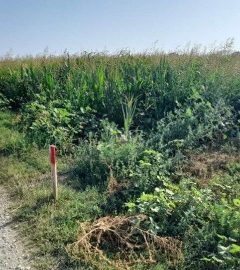 Foto 2 de Terreno en venta en De la Rubina, Puigmal - Mas Nou, Empuriabrava