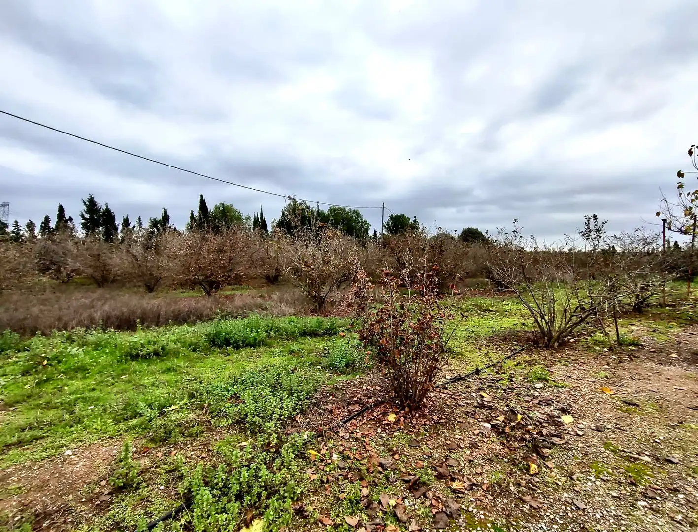 Land for sale in Vilallonga del Camp