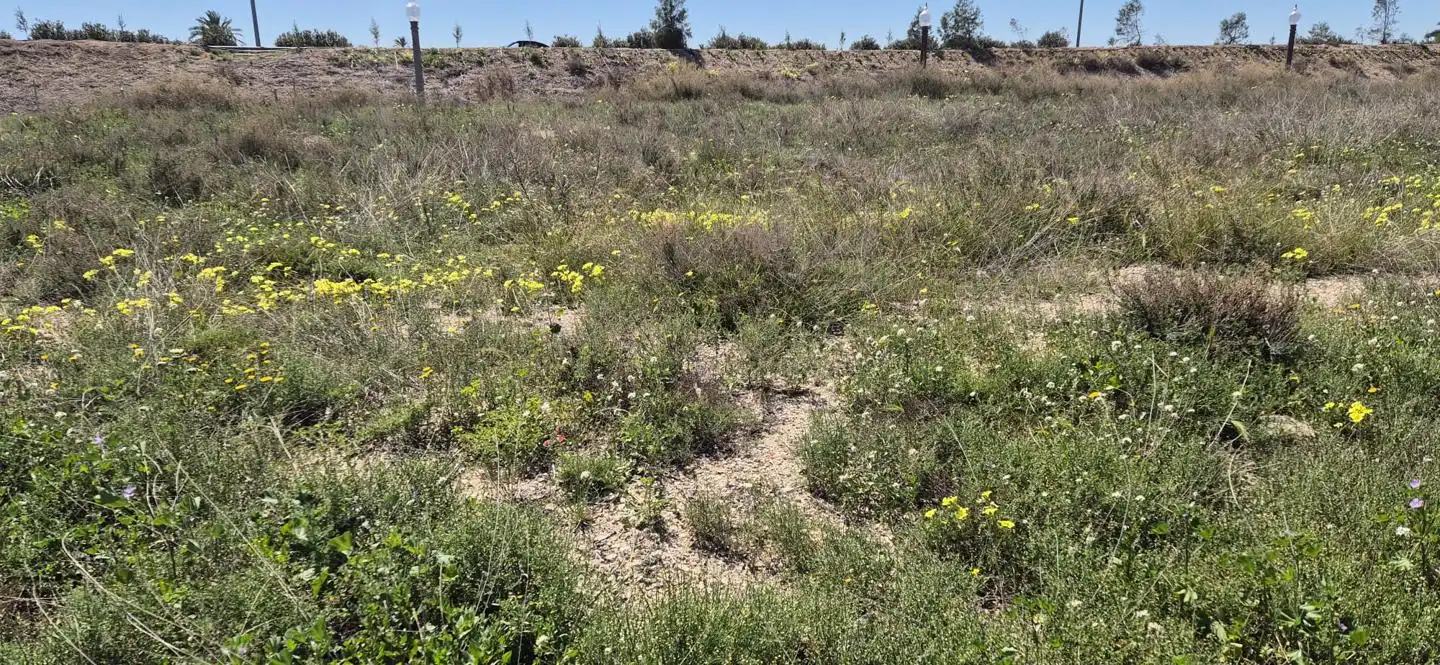 Lands and plots for sale in Elche ciudad, imagen 6
