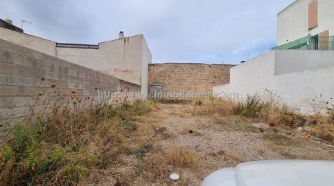 SOLAR EDIFICABLE EN SA POBLA, immagine 5
