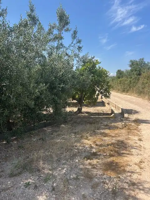Rural land for sale in Carrer del Pou, imagen 12