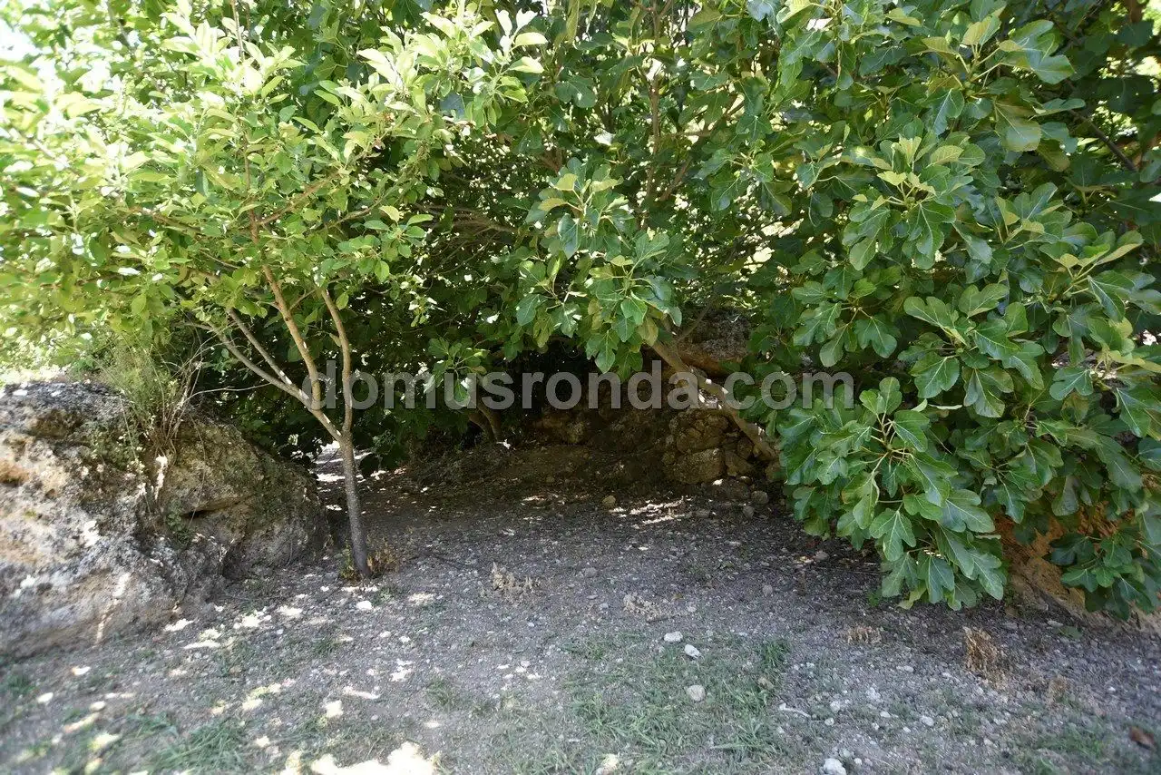 Houses for sale in Ronda  with Air Conditioner, Heating and Terrace