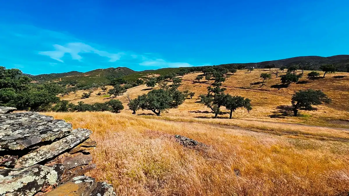 Terrenos y solares en venta en Aracena, imagen 20