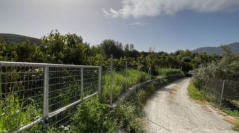 Terreno en venta en Murchas.