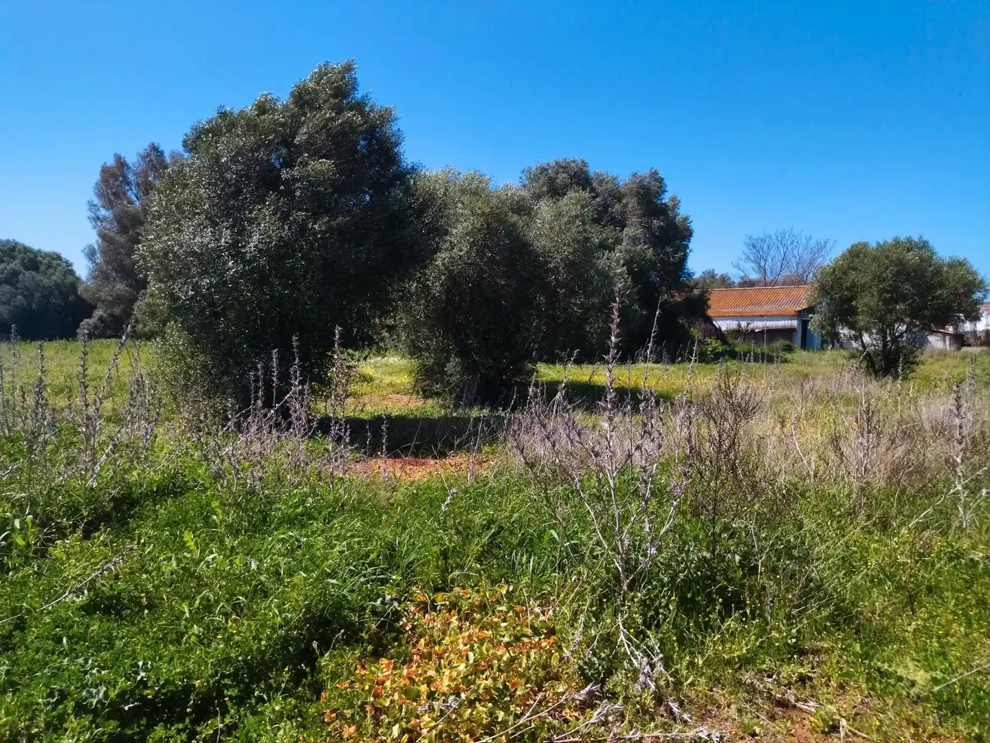 Casa rústica amb jardí en venda a N/A, imagen 20