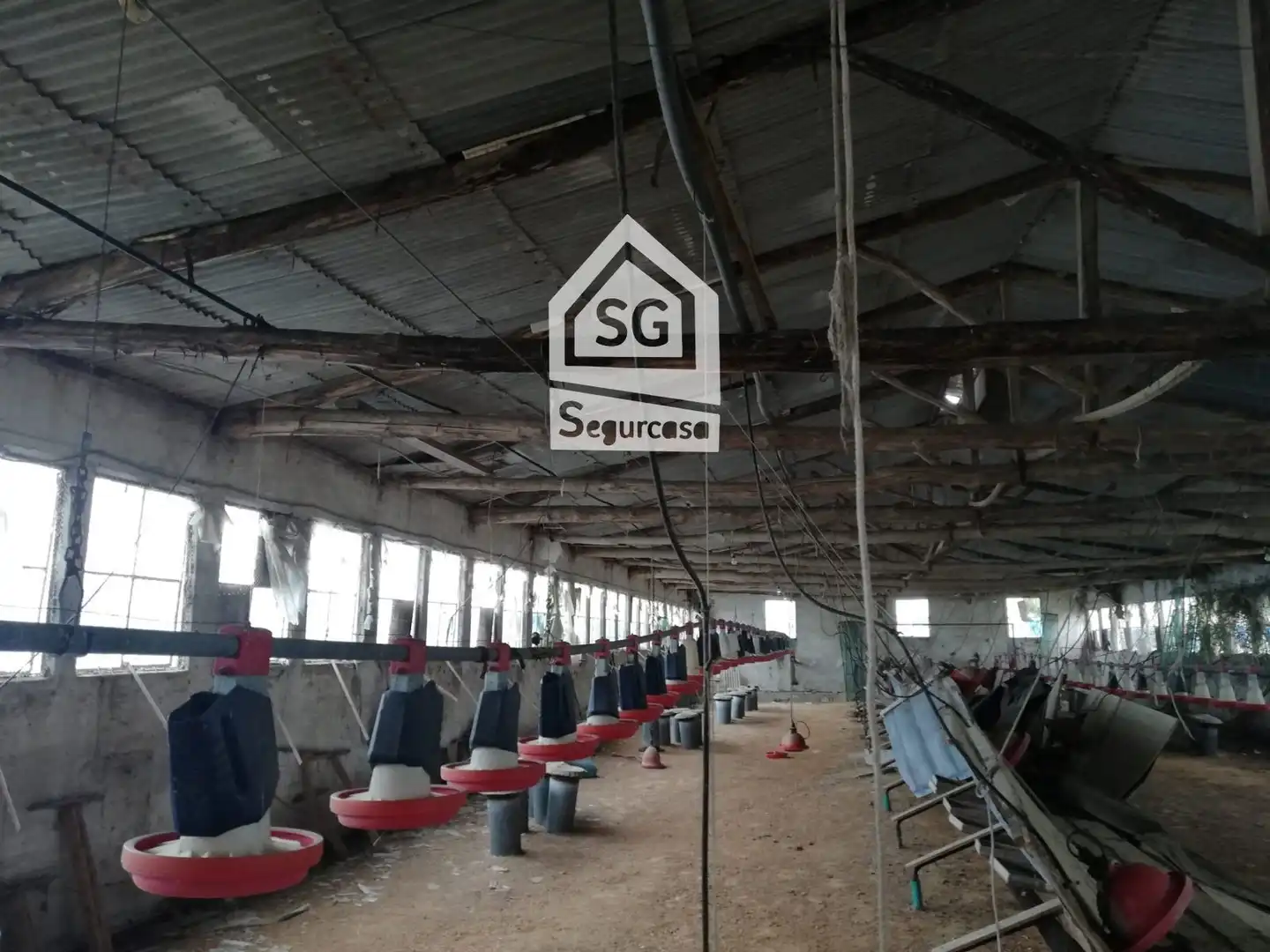 Nave industrielle à vendre à Amoeiro, imagen 2