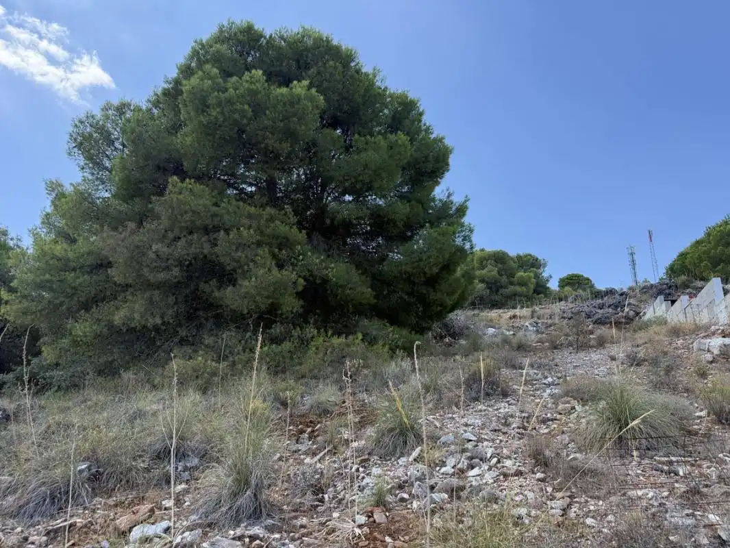 Residential land for sale in Calle Cañete la real, imagen 6