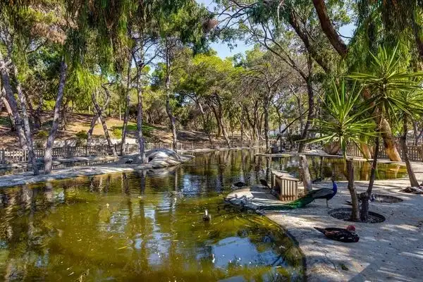 Vista exterior de Piso en venta en Guardamar del Segura con Aire acondicionado, Terraza y Amueblado