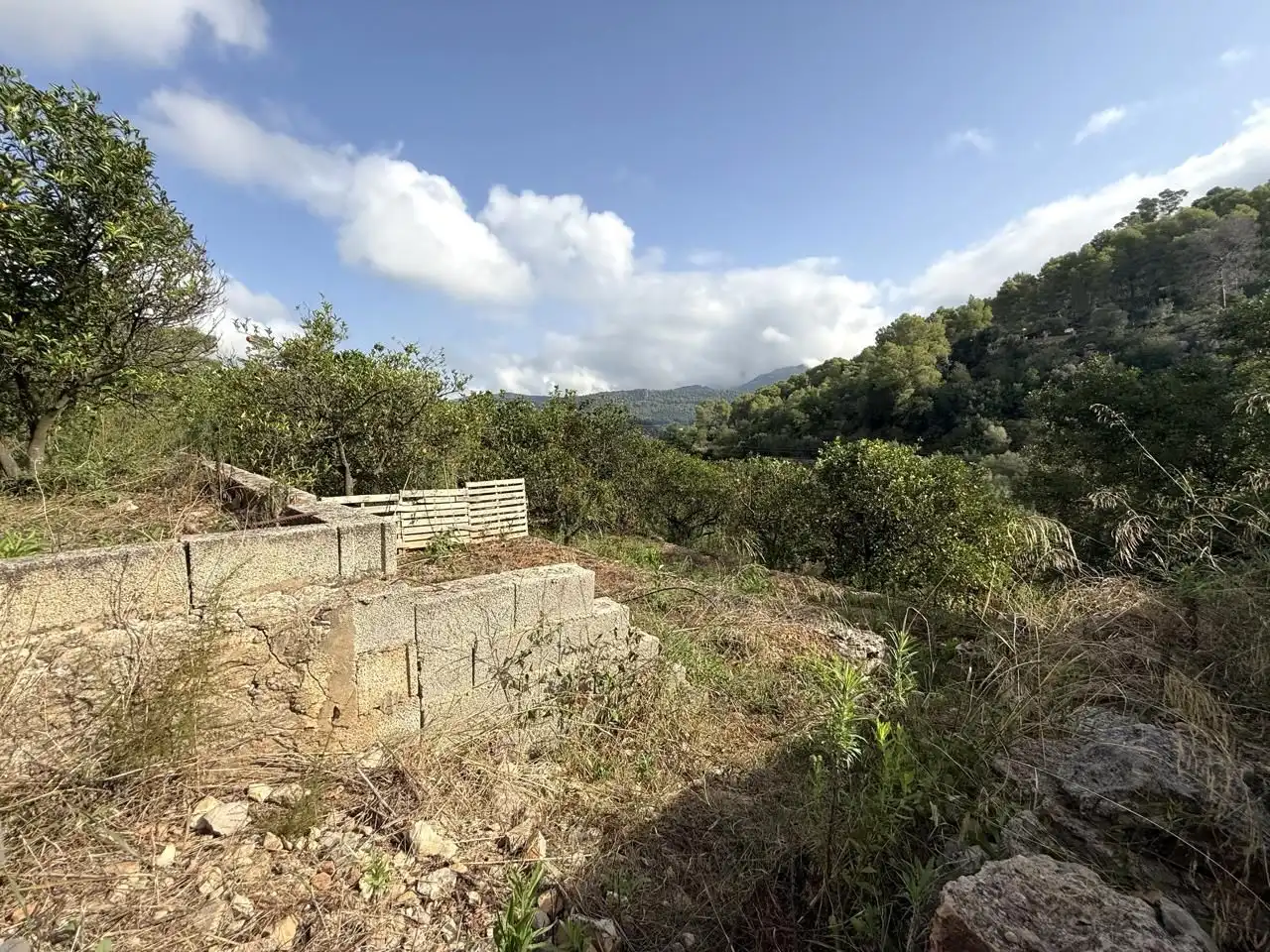 Casa rústica en venta en Carcaixent, imagen 31