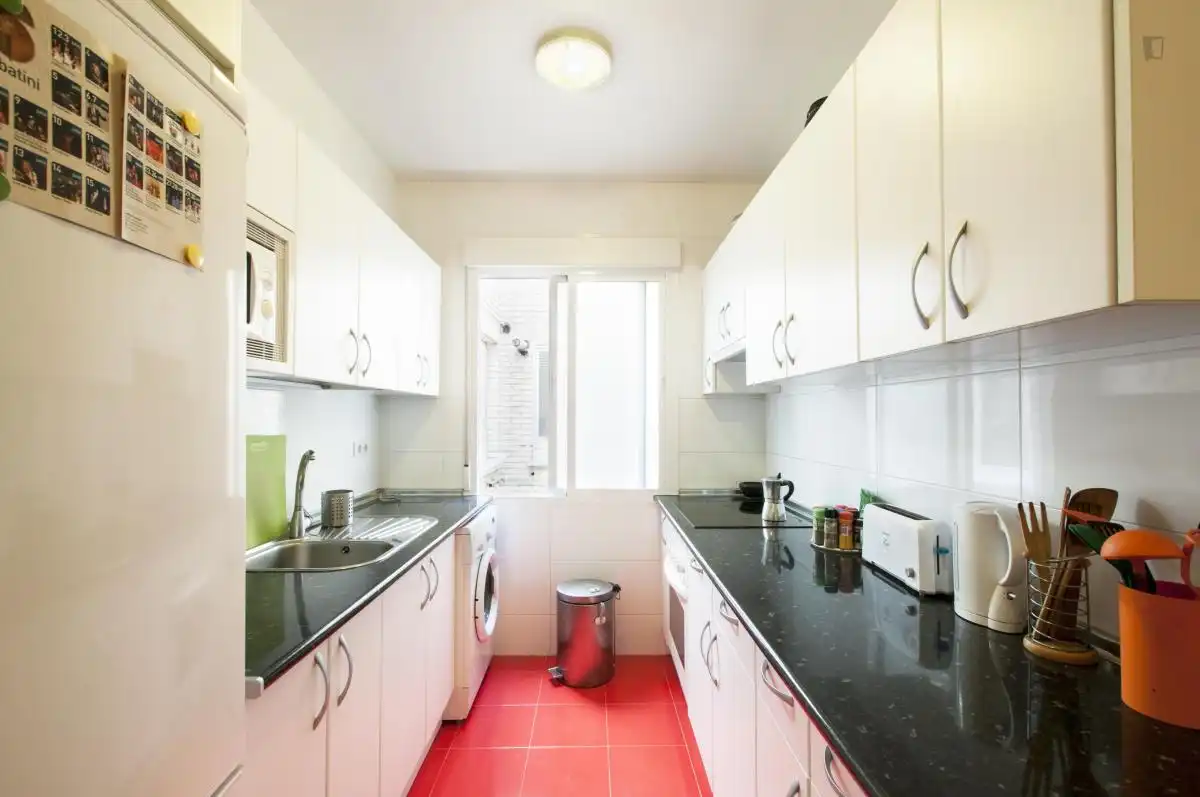 Room in Embajadores - Lavapiés