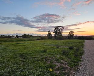 Finca rústica en venda en Chiclana de la Frontera