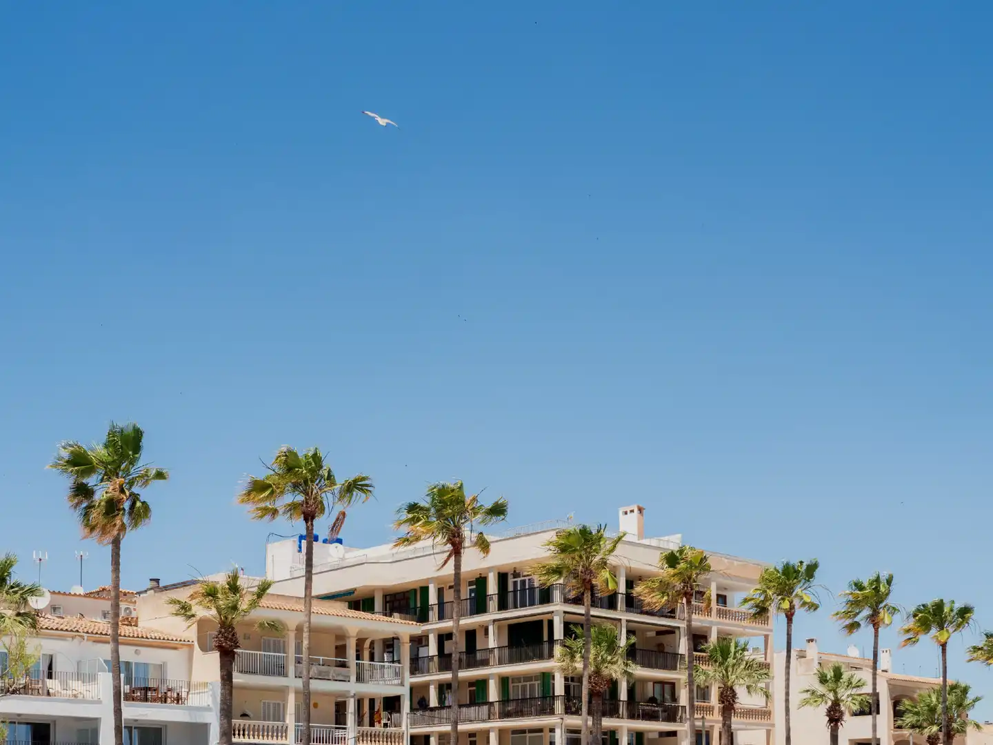 Casa a schiera con terrazza in vendita a Colònia Sant Jordi, imagen 31