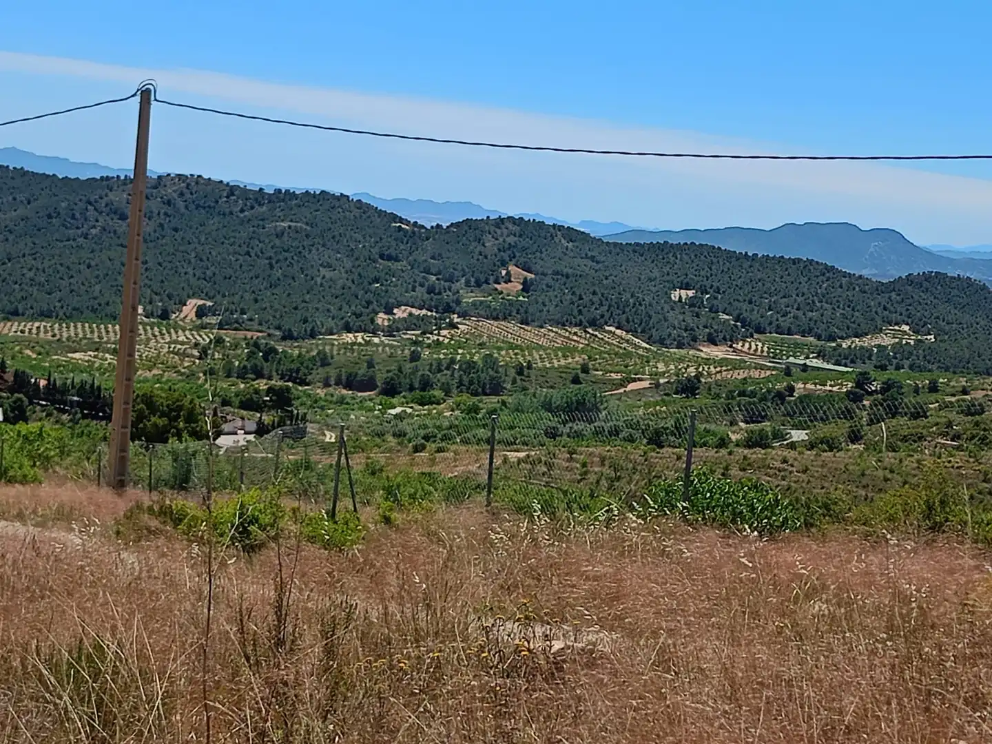 Terreni e lotti in vendita a Pedanías Norte