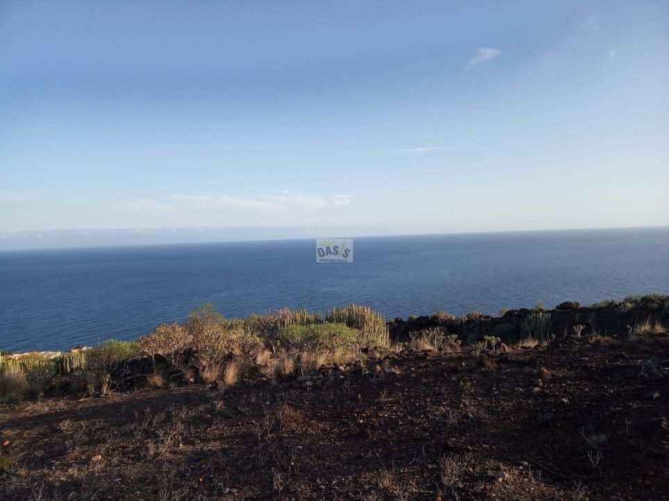 House or chalet to rent in  Santa Cruz de Tenerife Capital  with Terrace and Furnished