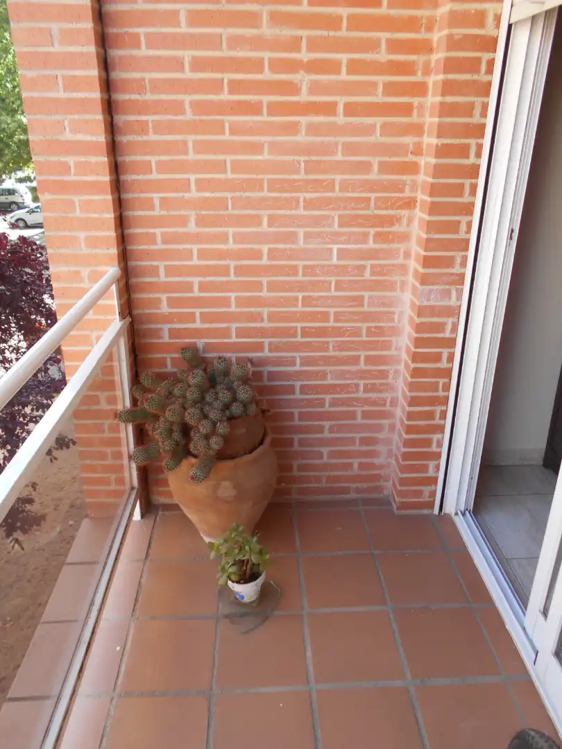 Terraza de Piso en venta en Ciudad Real con Calefacción y Balcón