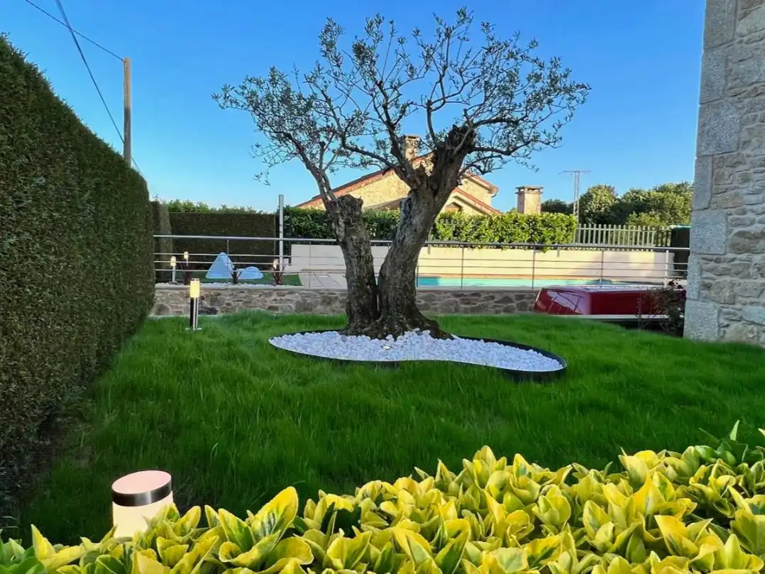 Jardí de Casa o xalet en venda en Santiago de Compostela  amb Terrassa, Piscina i Balcó