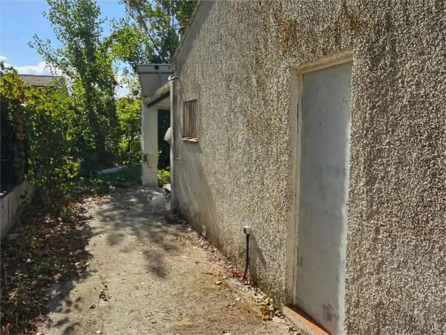 Vista exterior de Pis en venda en Oliva amb Jardí privat, Parquet i Traster