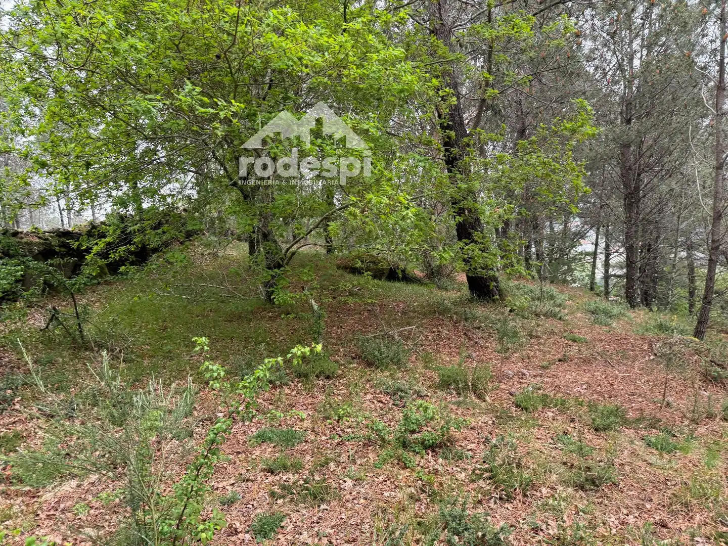 Xalet en venda a Covelo, imagen 69