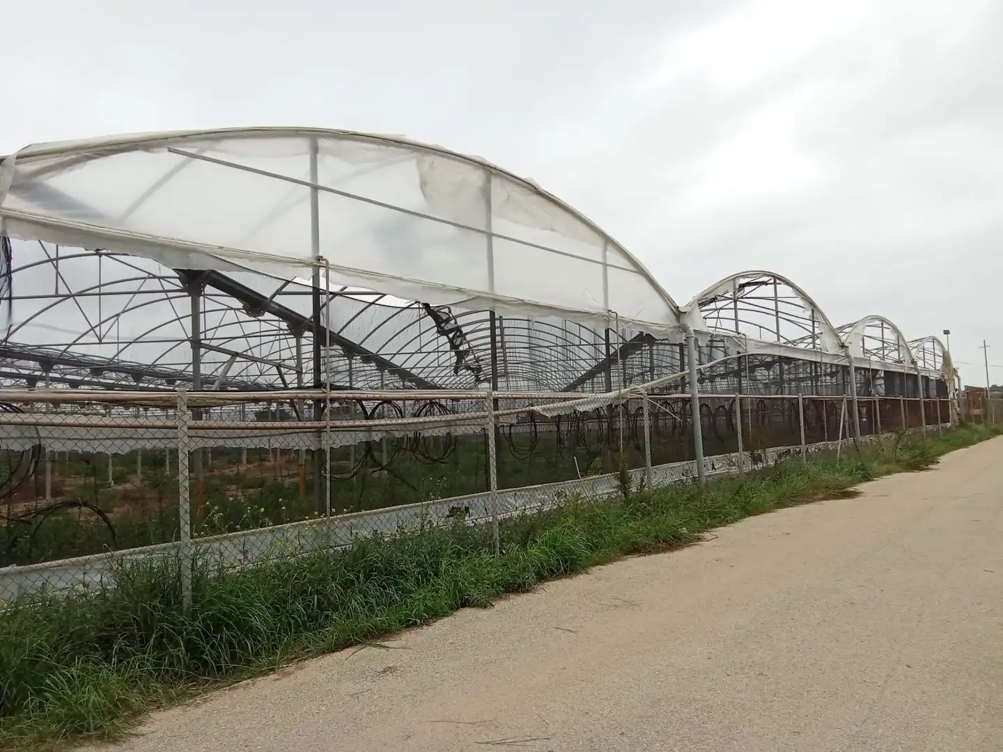 Terreno rustico in vendita a ALCALDE BALDOMERO SN, imagen 2