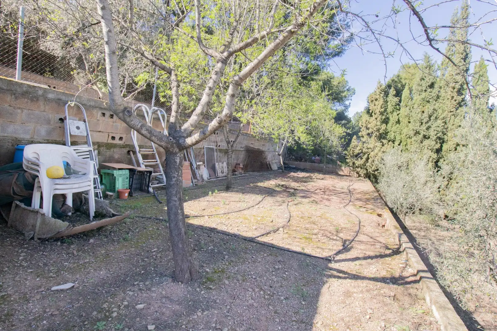 Landhaus mit Pool zum Verkauf in Algímia de Alfara, imagen 48