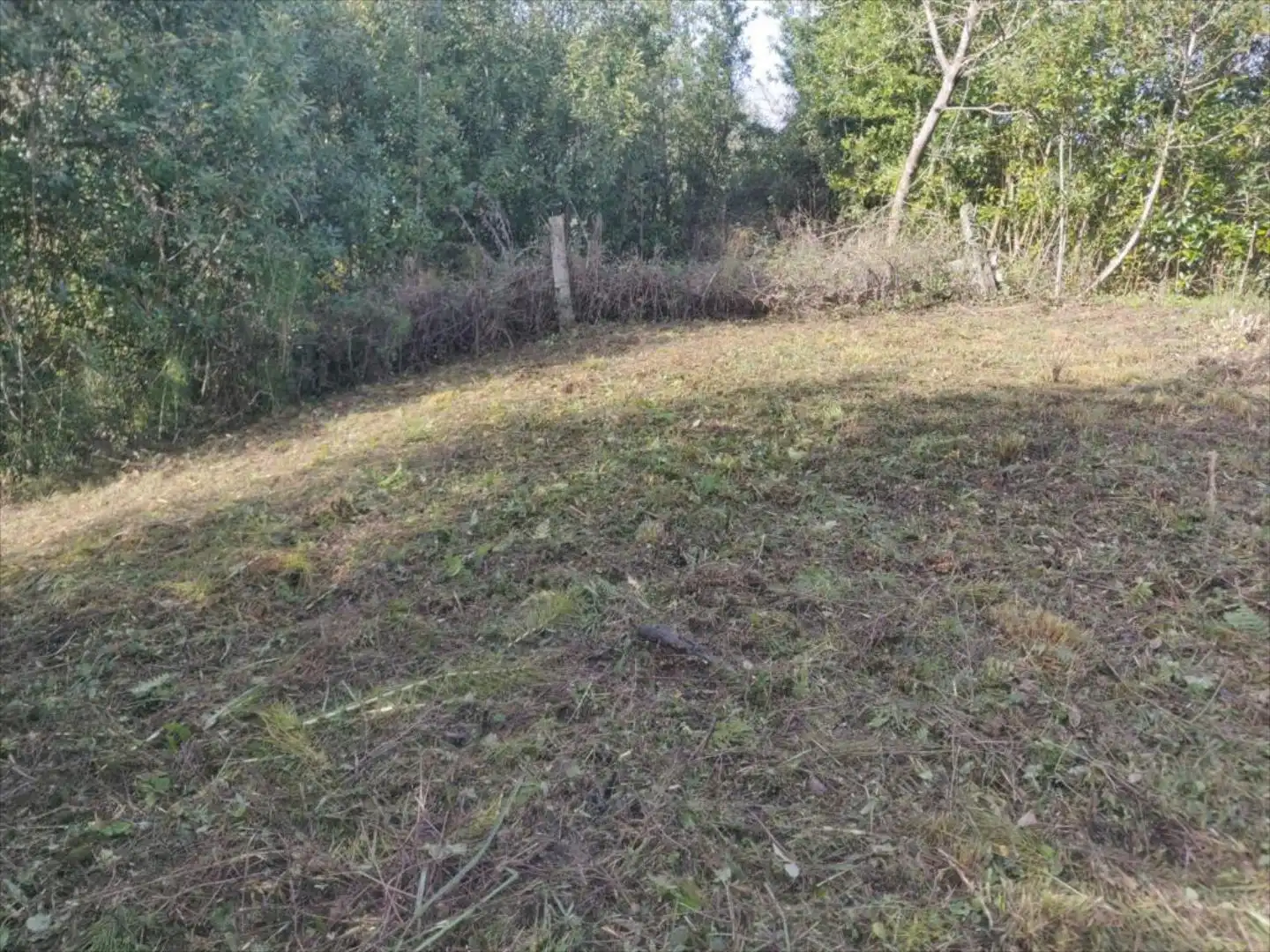 Terreni e lotti in vendita a Bárcena de Cicero, imagen 12