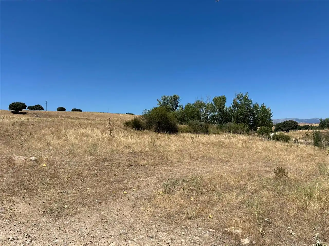 Terreny residencial en venda a ALTO DEL OLIVO, Polígono 45 Parcelas 50, 51 y 73, imagen 8